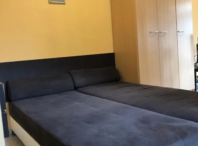 White House * Плевен